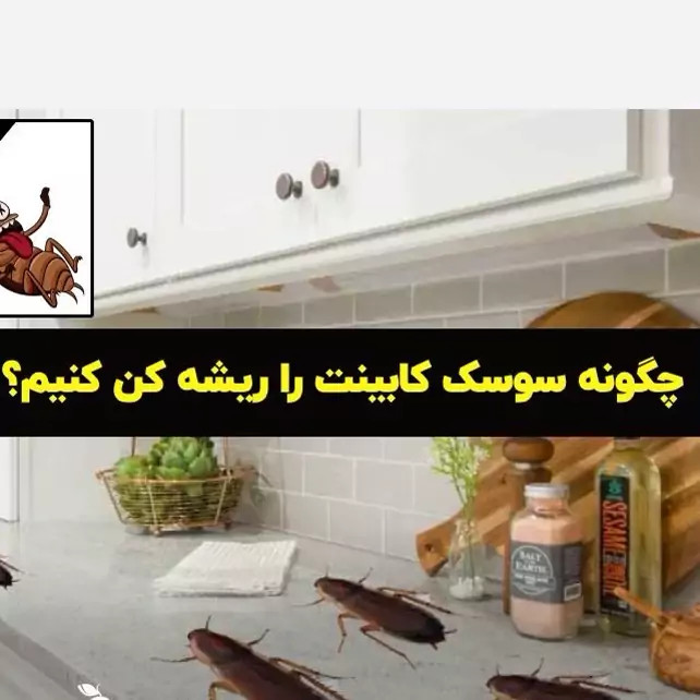 سم یک لیتری سوسک کش ریز و درشت ریپلزال بدون بو ، ارسال رایگان