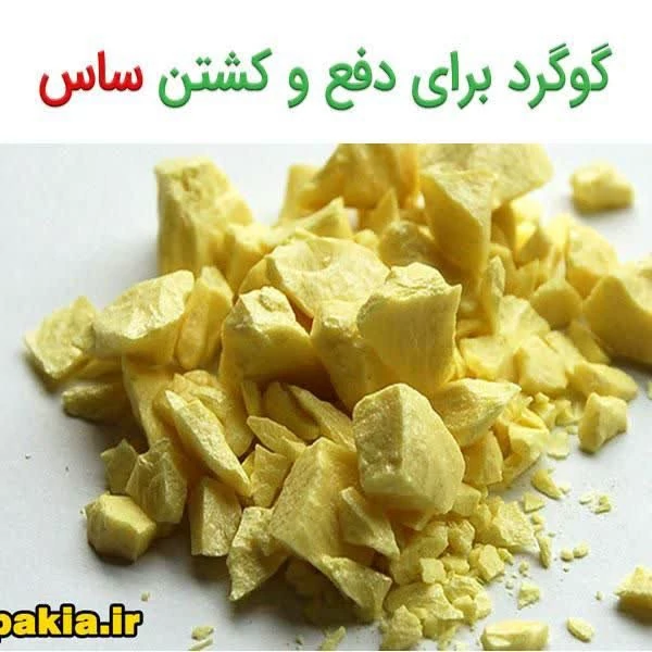 پودر گوگرد اصلی(قوطی 220 گرمی)
