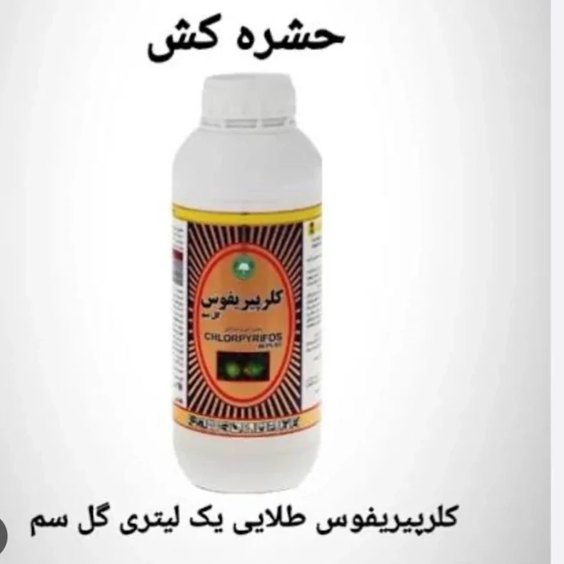 سم حشره کش کلر پیر یفوس قدرتمند