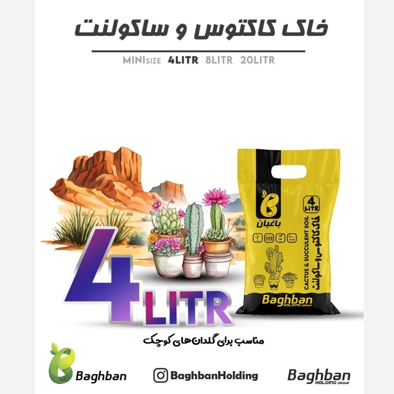 خاک مناسب انواع کاکتوس و ساکولنت 4 لیتری