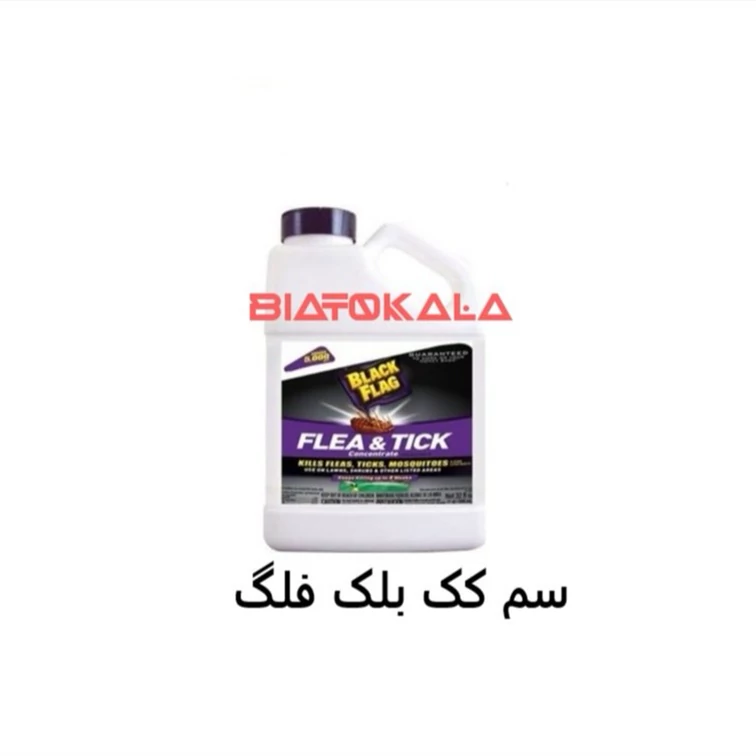 از بین بردن کک و تخم کک با بلک فلگ