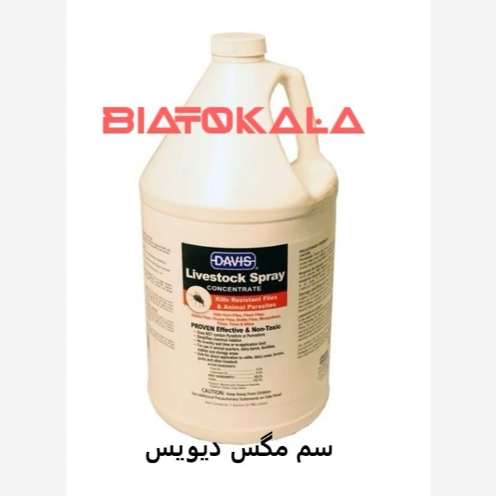 از بین بردن مگس ها در خانه و فاضلاب ها
