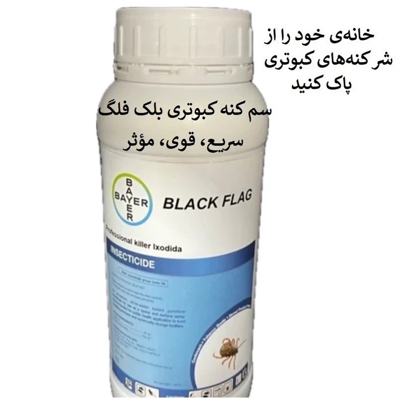 نابودی فوری کنه کبوتری با سم بلک فلگ